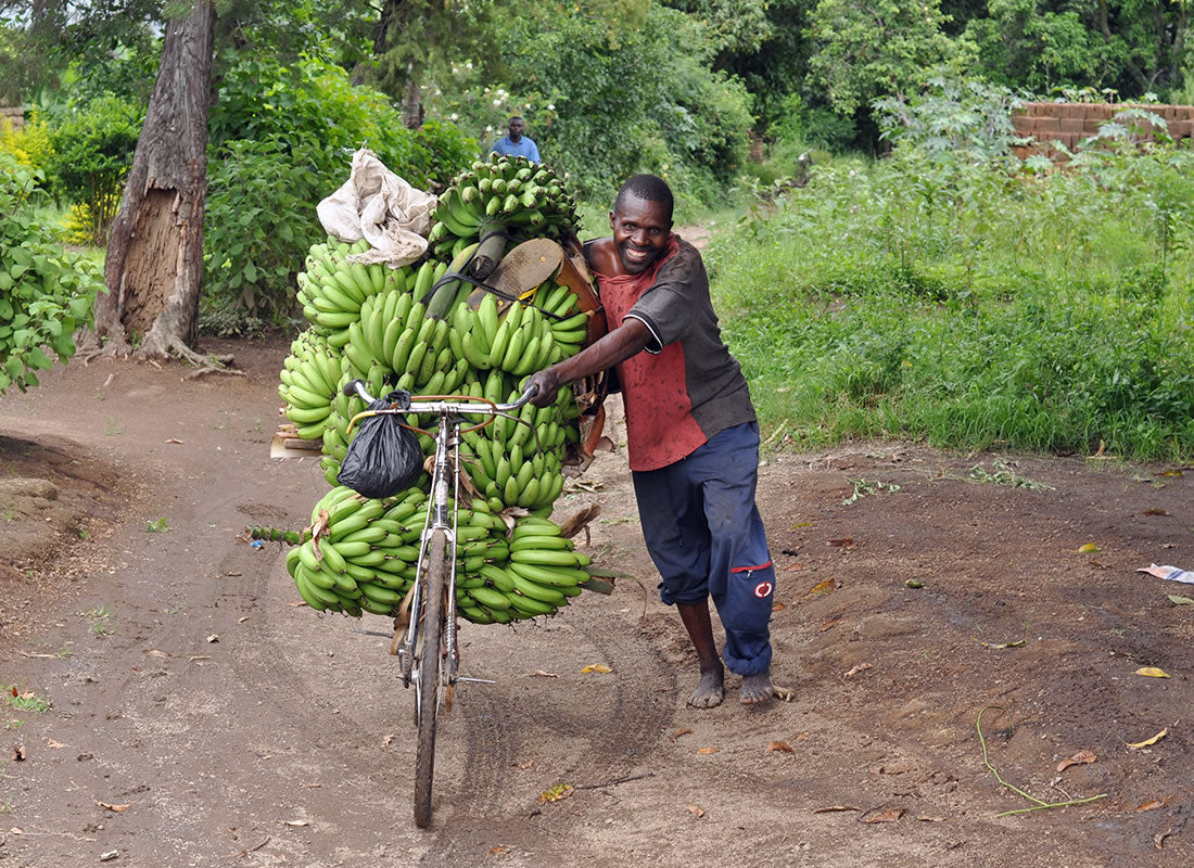 TANZANIA KILIMANJARO PEABERRY