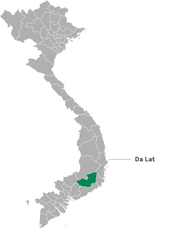 VIETNAM Cau Dat Lotus