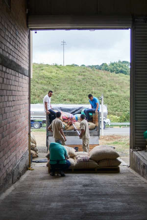 Colombia Valle Del Cauca - Decaf