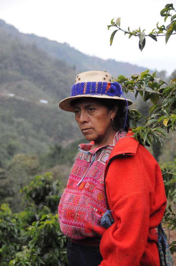 Guatemala Candelaria