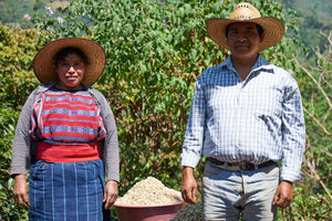 Guatemala Huehuetenango Joya Mas