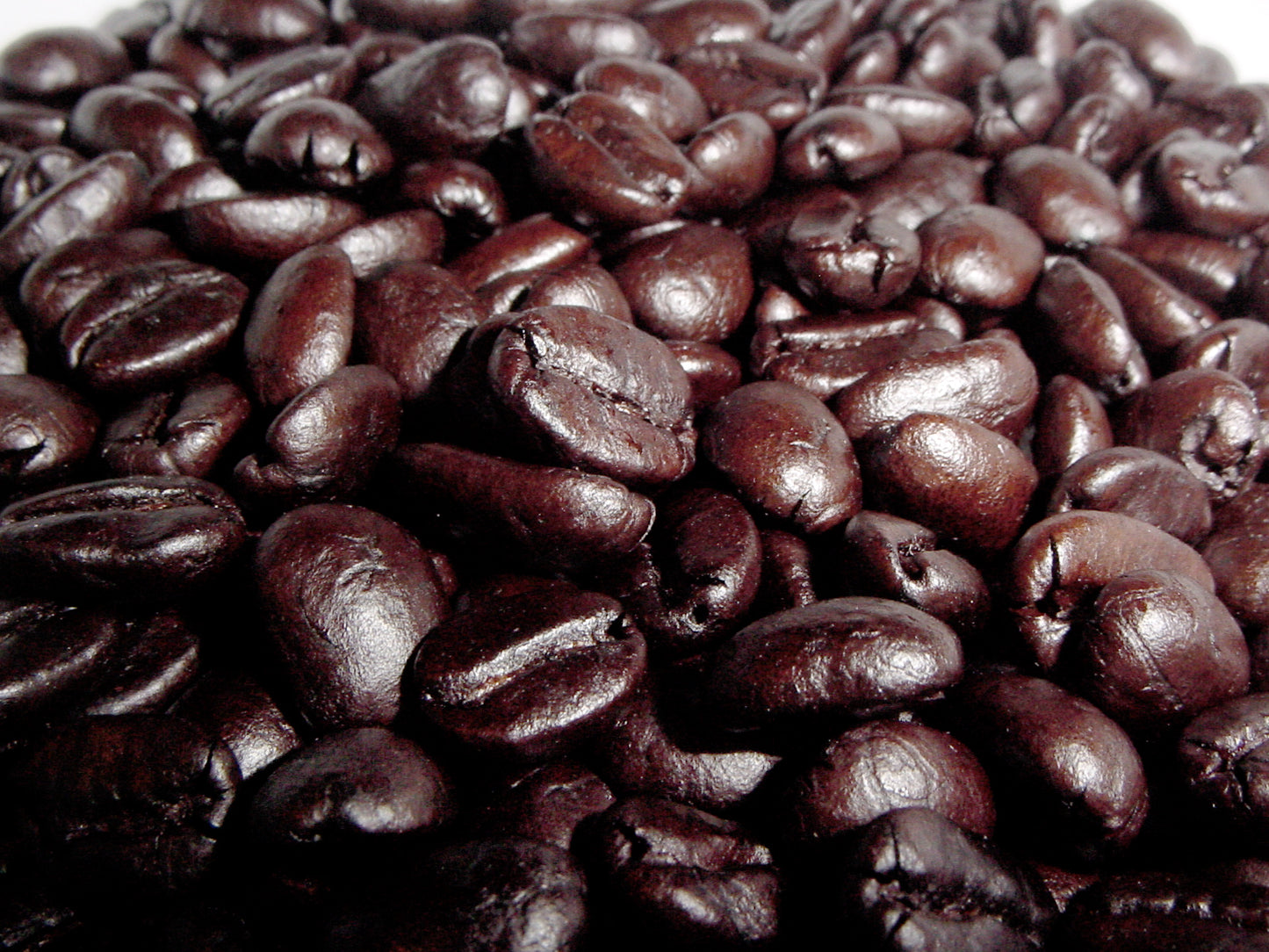 AMPED BLEND