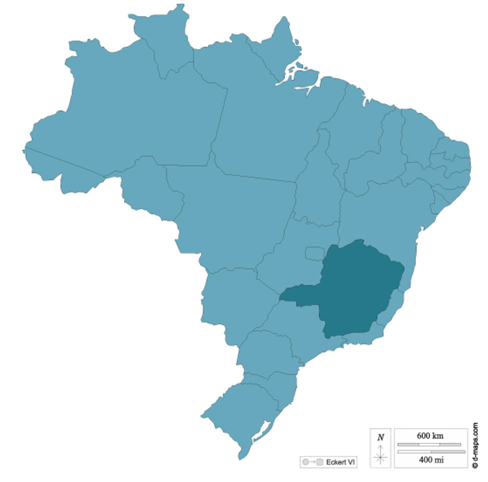 Brazil Salmo Lush